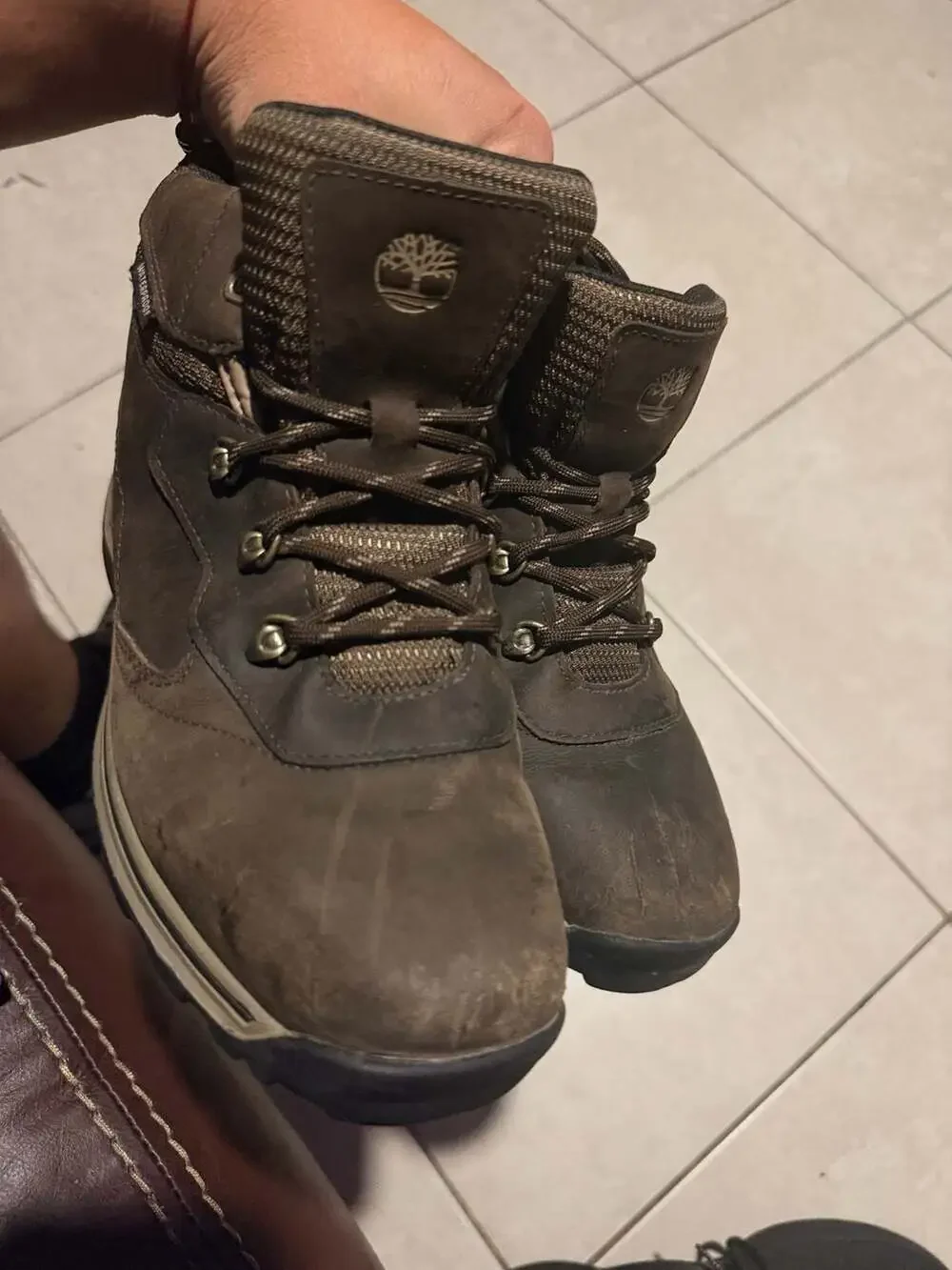 Timberland White Ledge Mid Waterproof Hiking Boots Boys Size 6